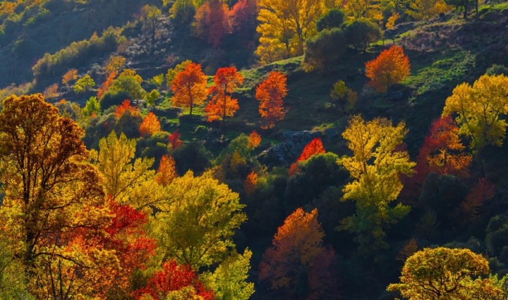 Colores de Otoño: Las Alpujarras