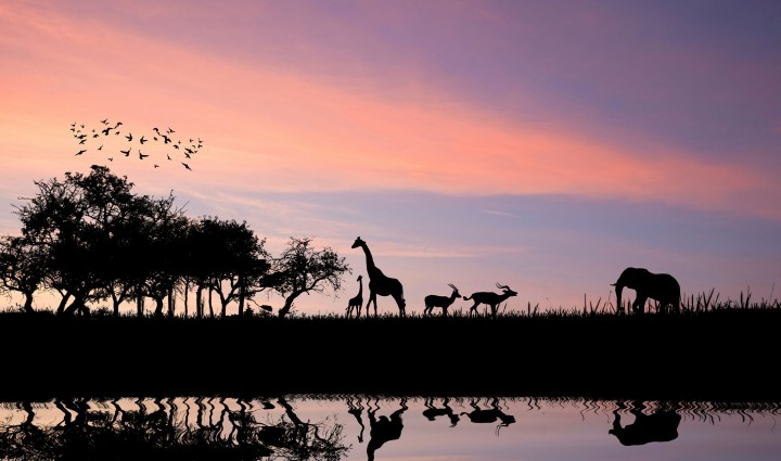 Expedición Kavango-Zambezi 15 días