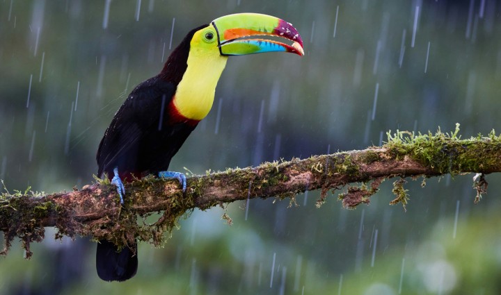 Fin de Año en Costa Rica