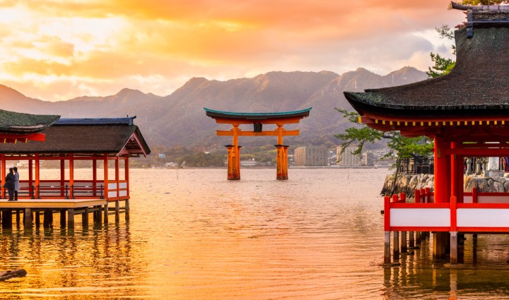 Japón - Es tiempo de floración en Honshu