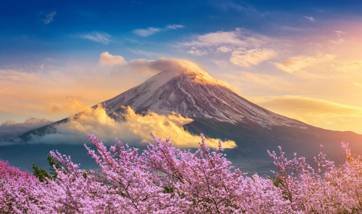 Japón en primavera