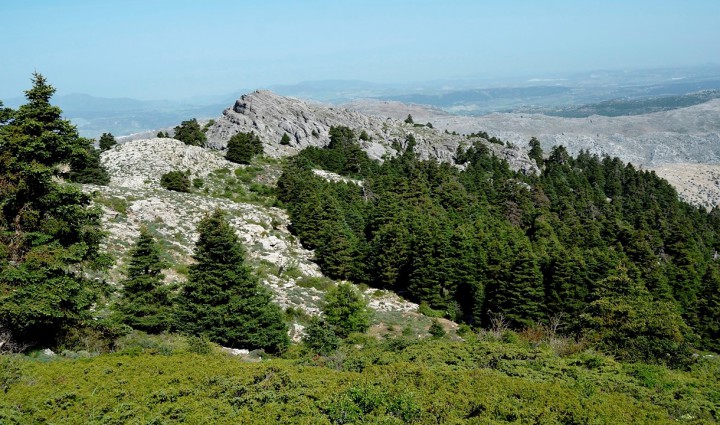 Yoga y senderismo en la Sierra de las Nieves