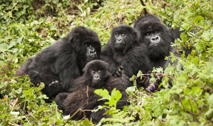 Uganda